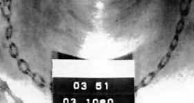 The Doe Network: Case File 1103UMMD 
