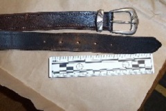 233UMWA - Belt