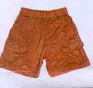Shorts2