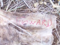 label