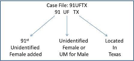 UID Case Number Example