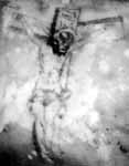 The Doe Network: Case File 1347UMTX 