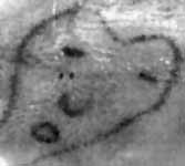 The Doe Network: Case File 1358UMAZ