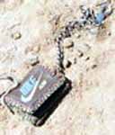 The Doe Network: Case File 1364UMAZ 