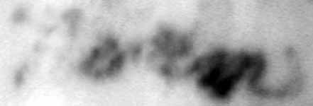 The Doe Network: Case File 1497UMWI