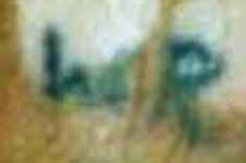 The Doe Network: Case File 475UMNV