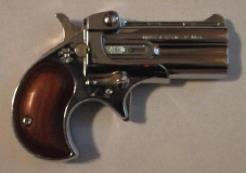 gun