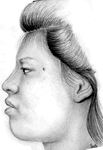 Sketch