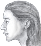 Artistic rendering