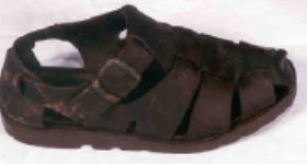 shoe