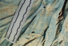 shirt pattern