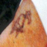 6200DMDE_NamUs_9881.jpg